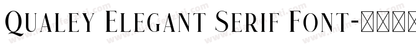 Qualey Elegant Serif Font字体转换